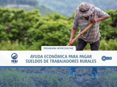 INTERCOSECHA WEB