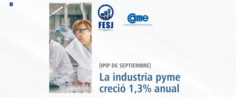 La industria pyme creció 1,3% anual