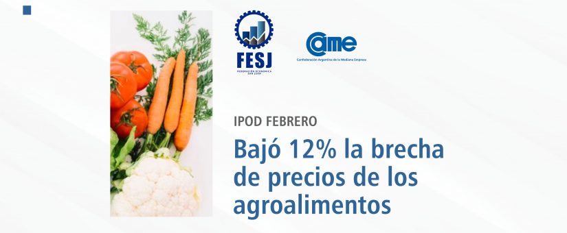 INFORME IPOD FEBRERO